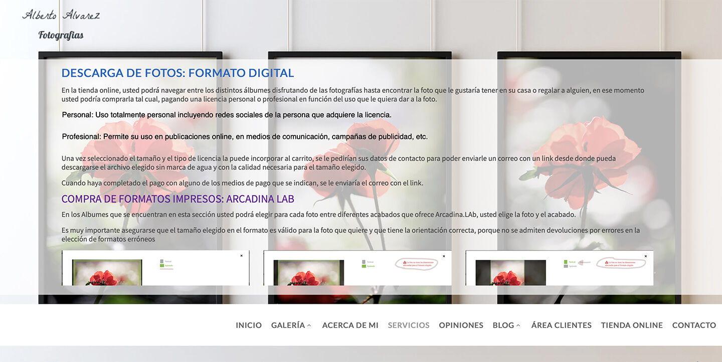 AJAZ Photo - servicios-ofertados.jpg