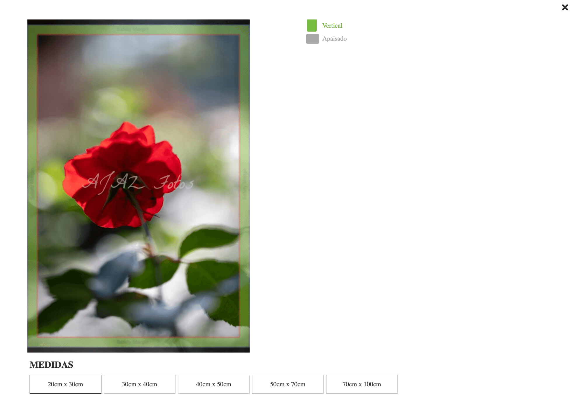 AJAZ Photo - captura-de-pantalla-2022-03-12-a-las-19-05-31.png