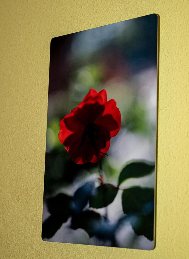 AJAZ Photo - rosa-aluminio-blanco-mate-3-20x30.jpg